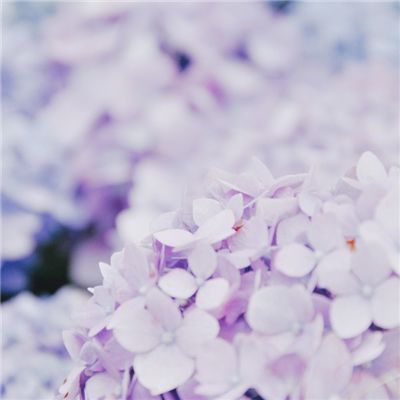 百万忍者手游(暂未上线)v1.0 安卓版