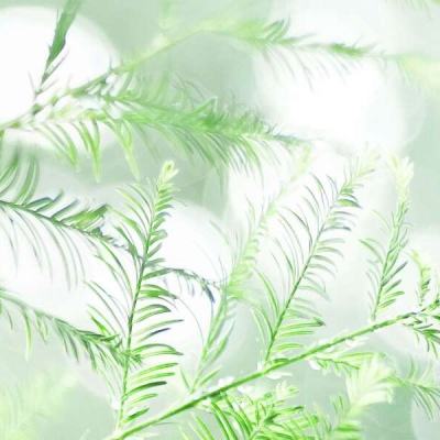 异世界三国志手游下载