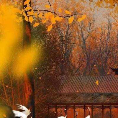 挑战巨人游戏(暂未上线)v1.0 安卓最新版